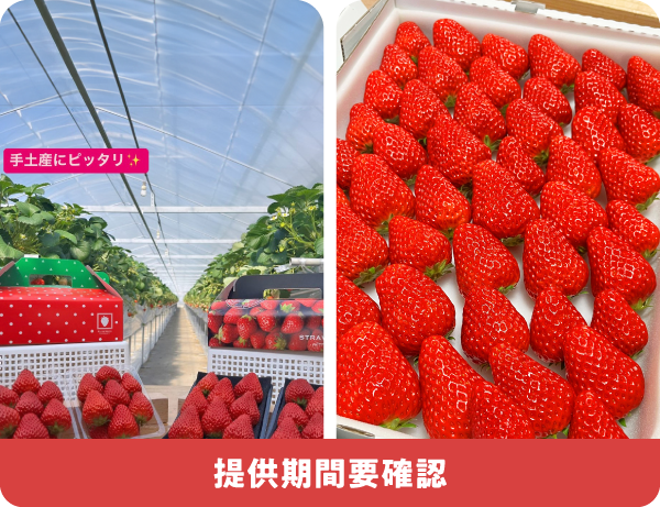 ２パック入りギフト/バラエティーセット